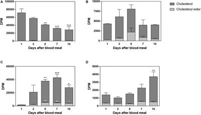 The Fate of Dietary Cholesterol in the Kissing Bug Rhodnius prolixus